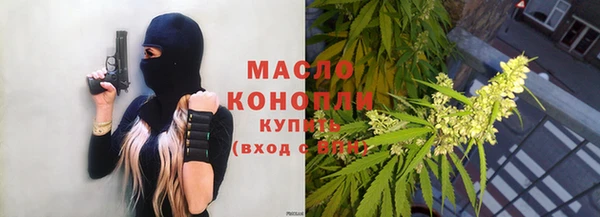 хмурый Аркадак
