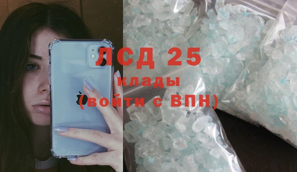 индика Алексин