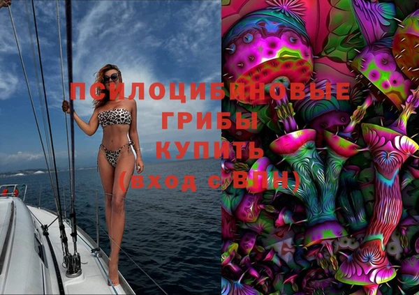 хмурый Аркадак