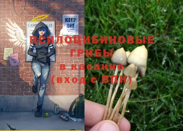 спиды Пересвет