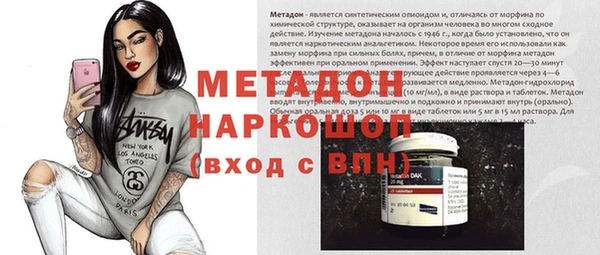 индика Алексин