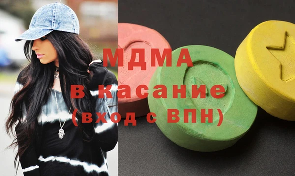 индика Алексин