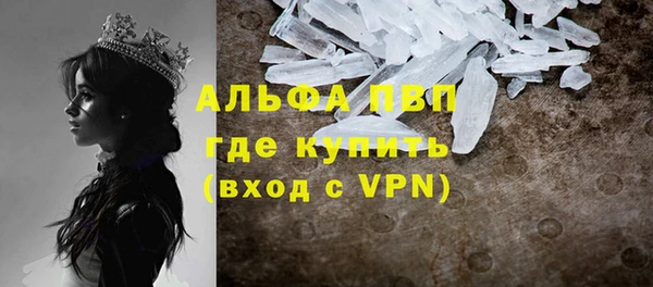индика Алексин