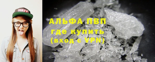 индика Алексин