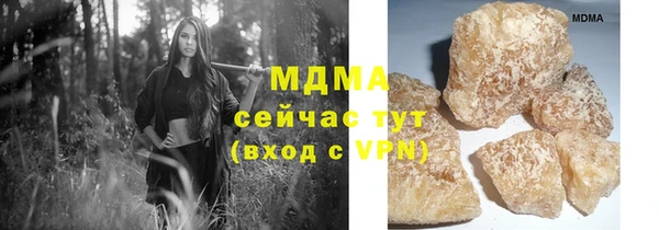 хмурый Аркадак