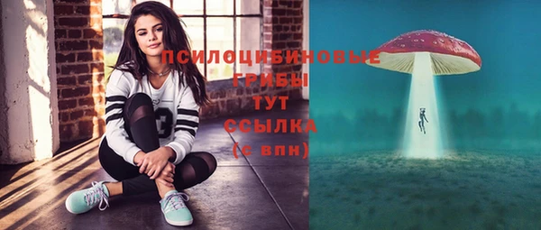 спайс Пестово