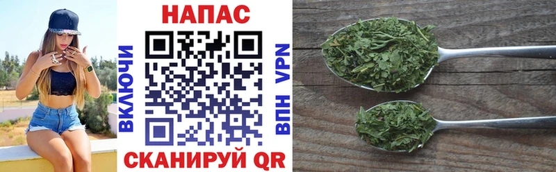 Шишки марихуана конопля  закладки  Салехард 